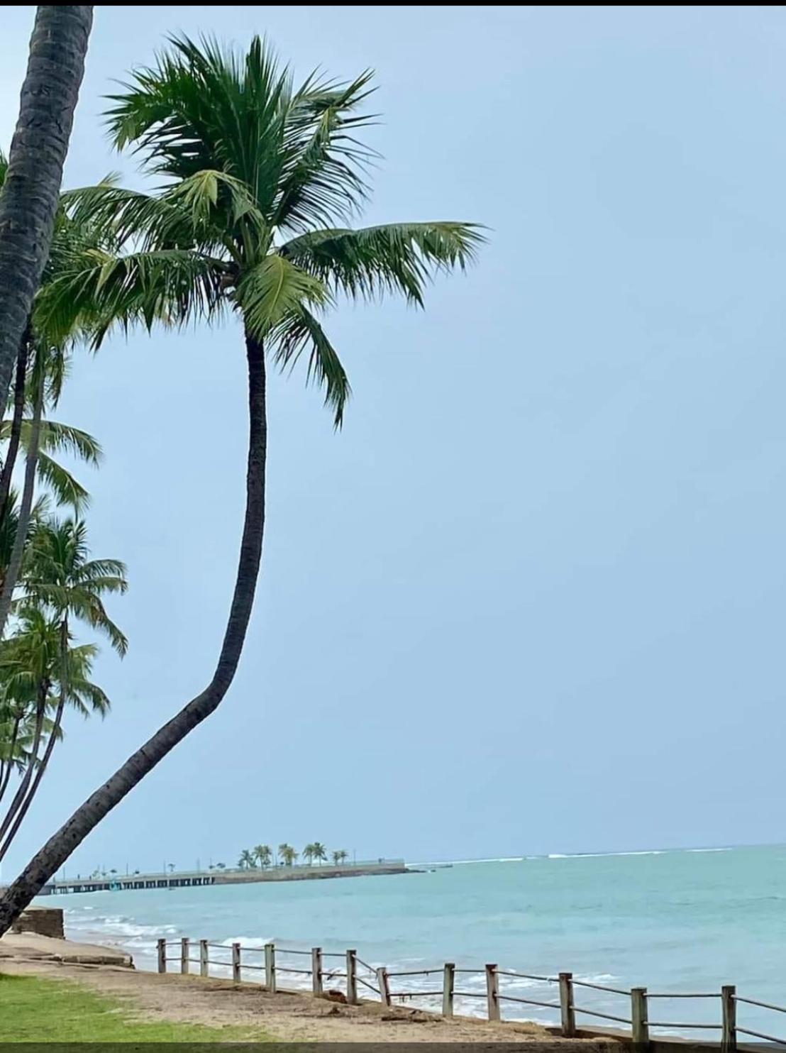 lindo apartamento de frente para o mar Maceió Exterior foto